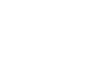 Cijaオランダ発☆花とテーブルコーディネート・シージャ